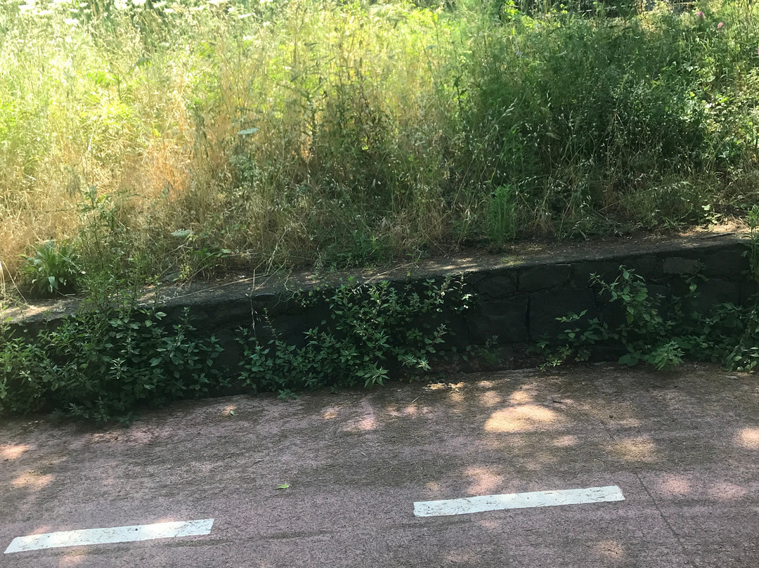 Parco Angelo D'Arrigo-Pedara必去景点