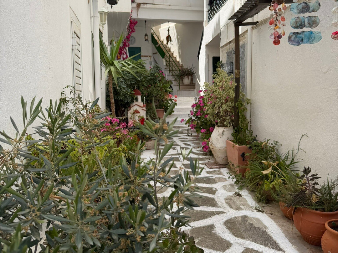 Kritsa Village-Kritsa必去景点
