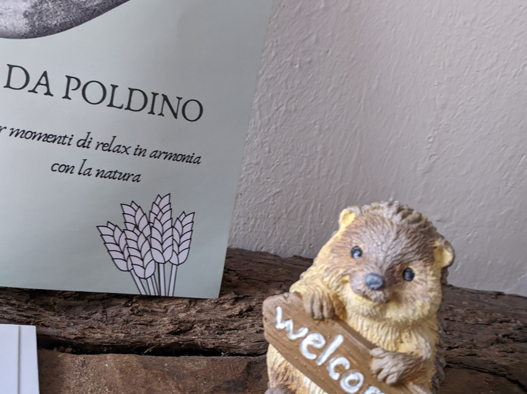Da Poldino主图