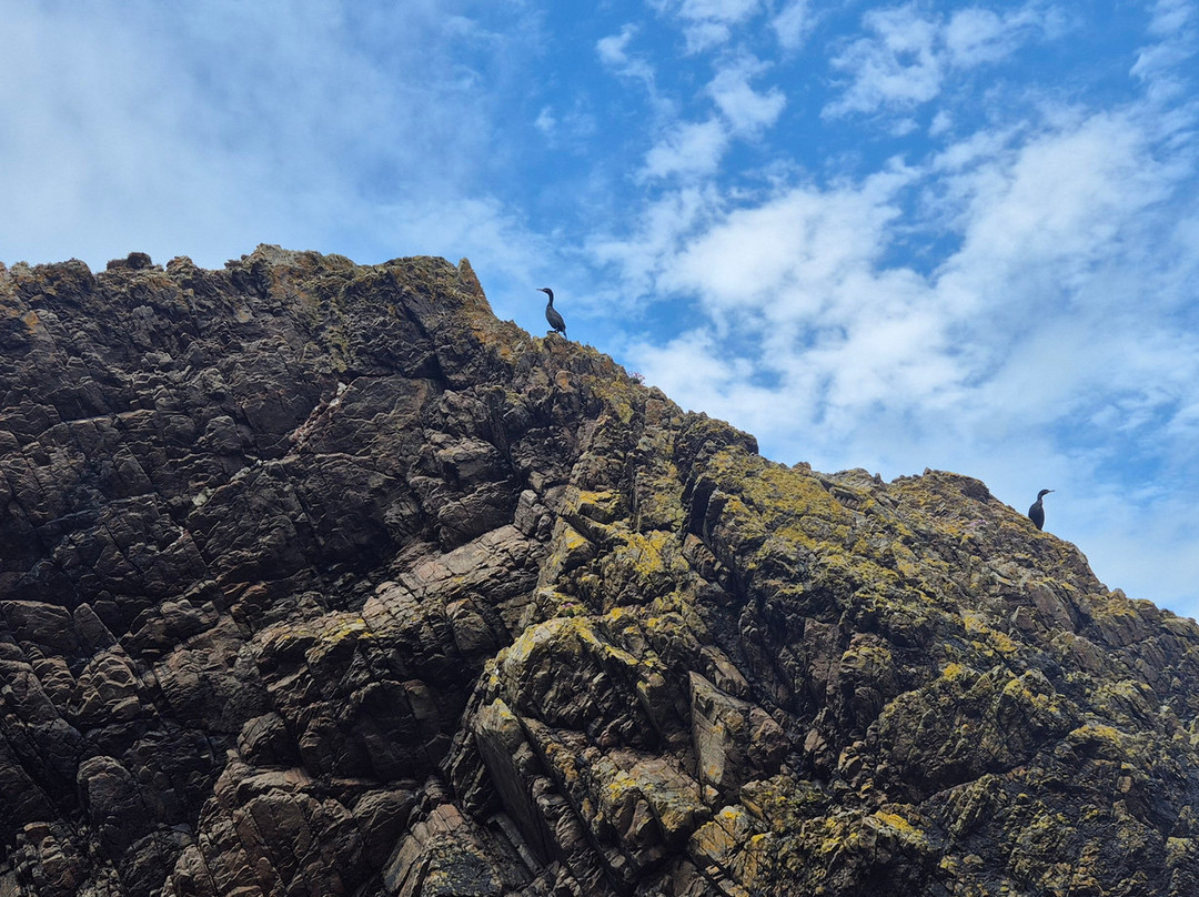 Donegal Sea Adventure-Burtonport必去景点