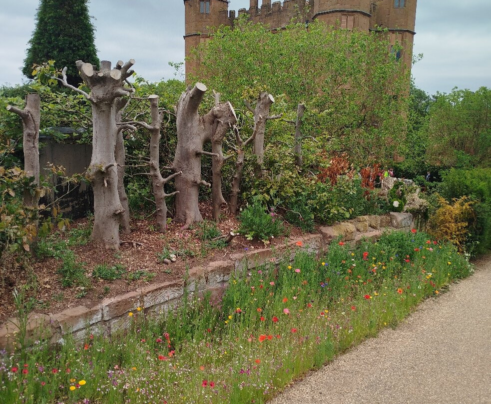 Kenilworth Castle-凯尼尔沃思必去景点