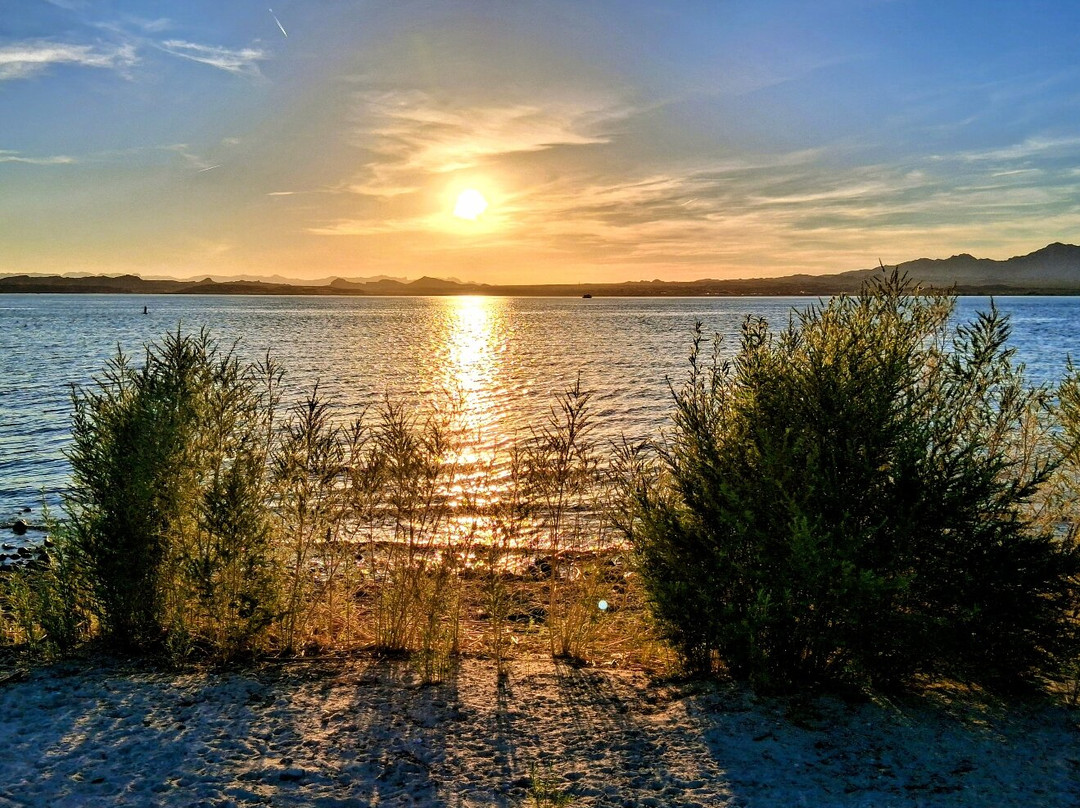 Lake Havasu State Park-哈瓦苏湖城必去景点