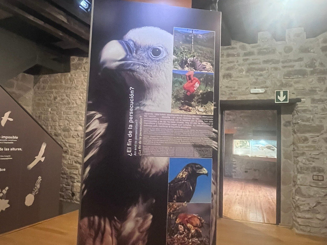 Eco Museo-Centro de Visitantes-艾因萨必去景点