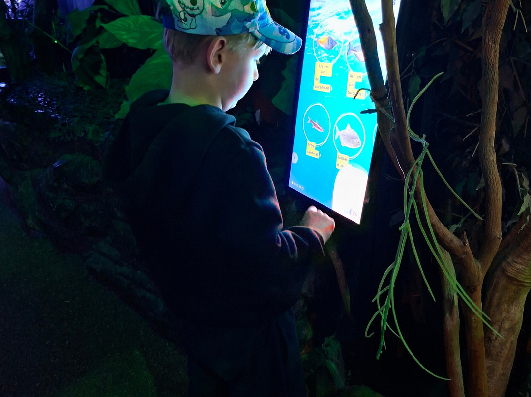 Sea Life Blankenberge-布朗肯堡必去景点