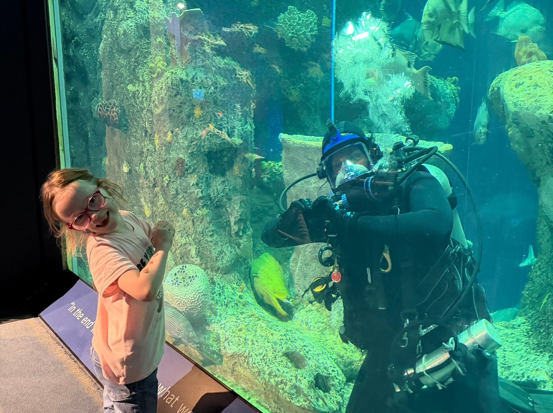 South Carolina Aquarium-查尔斯顿必去景点