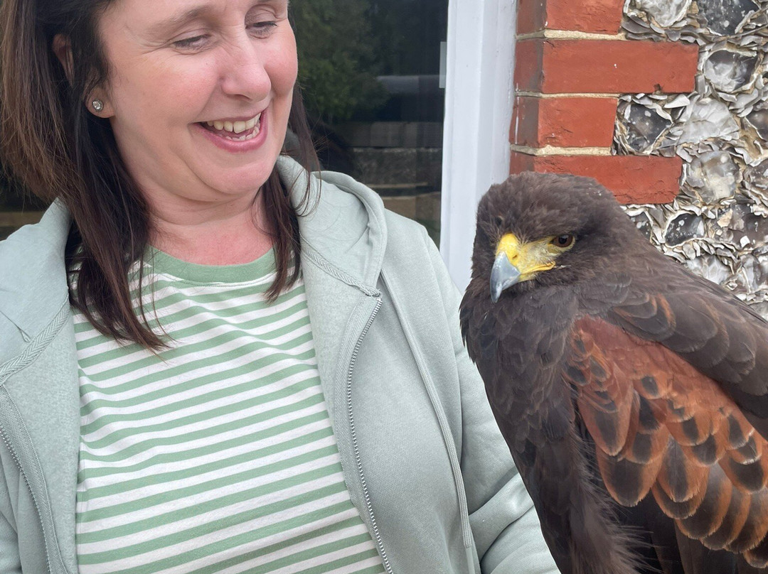 West Sussex Falconry-Compton必去景点