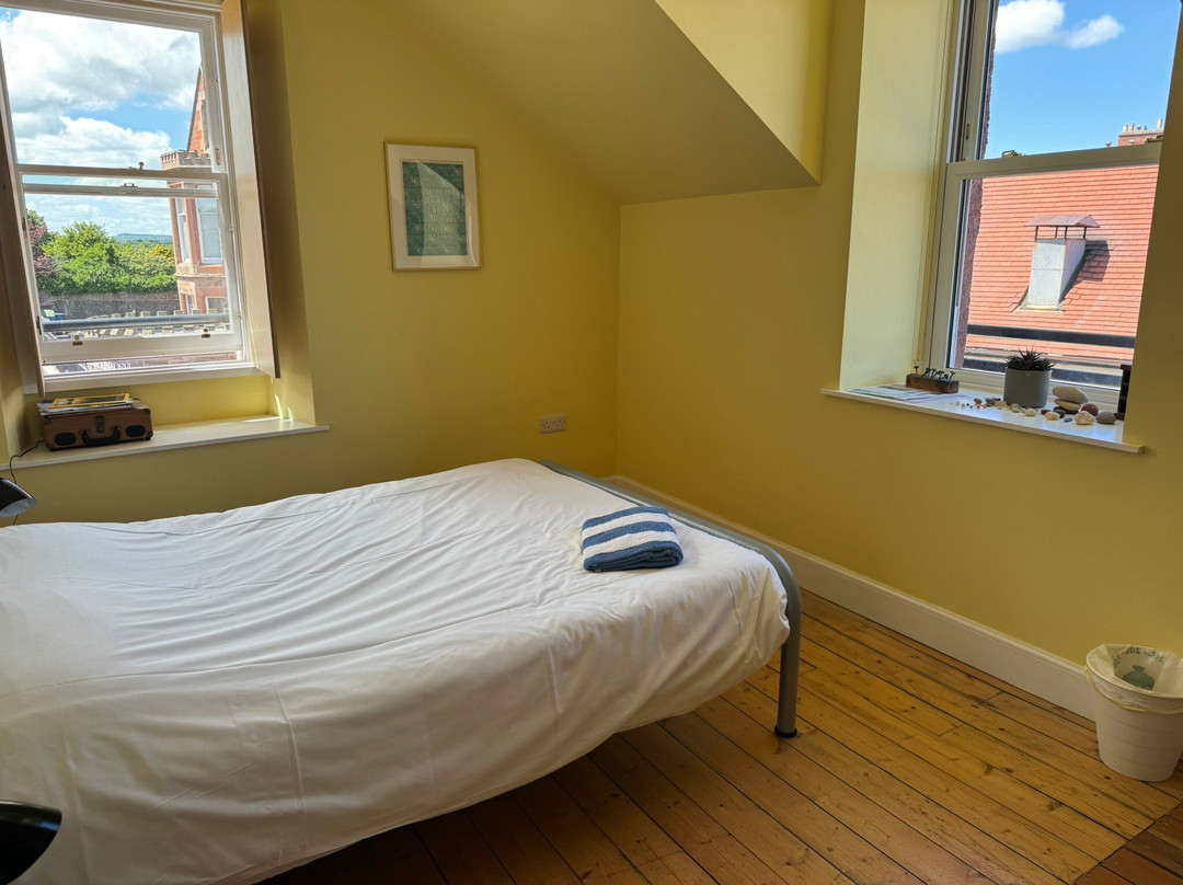 The Dolphin Inn Hostel主图