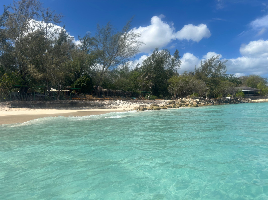 Treehouse Beach Club-圣 约翰必去景点