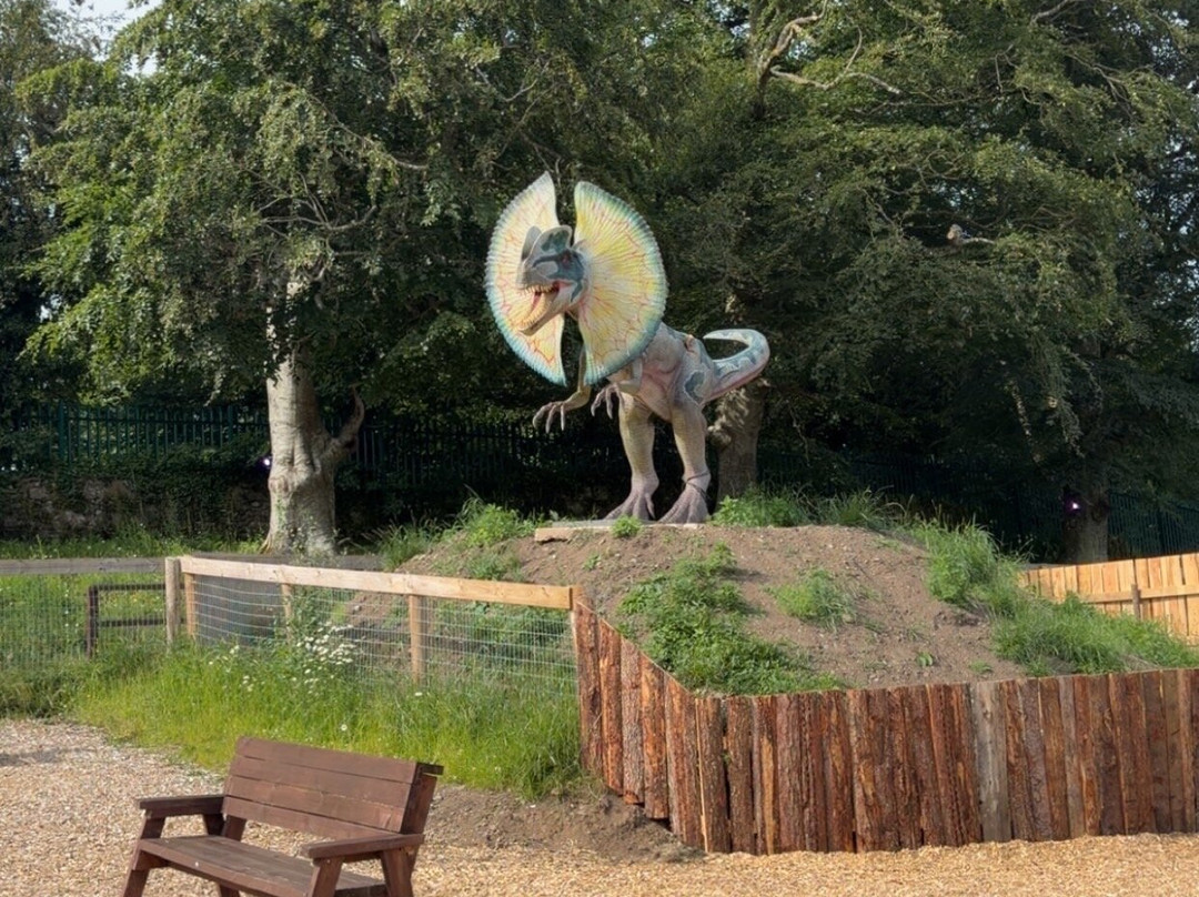 Jurassic Newpark-基尔肯尼必去景点