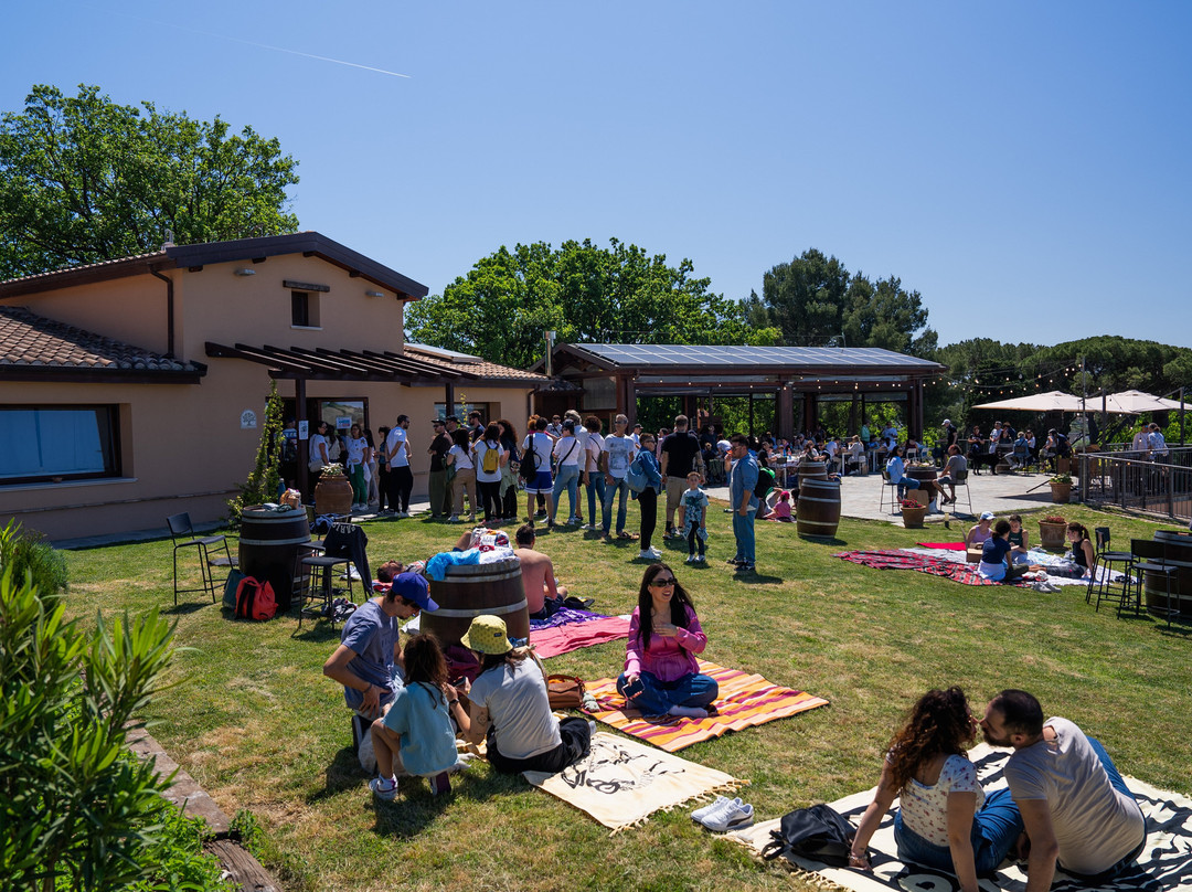 Azienda Agricola De Leyva-佩萨罗必去景点