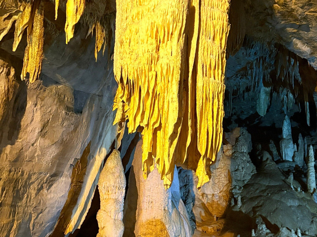 Lost World Caverns-Lewisburg必去景点