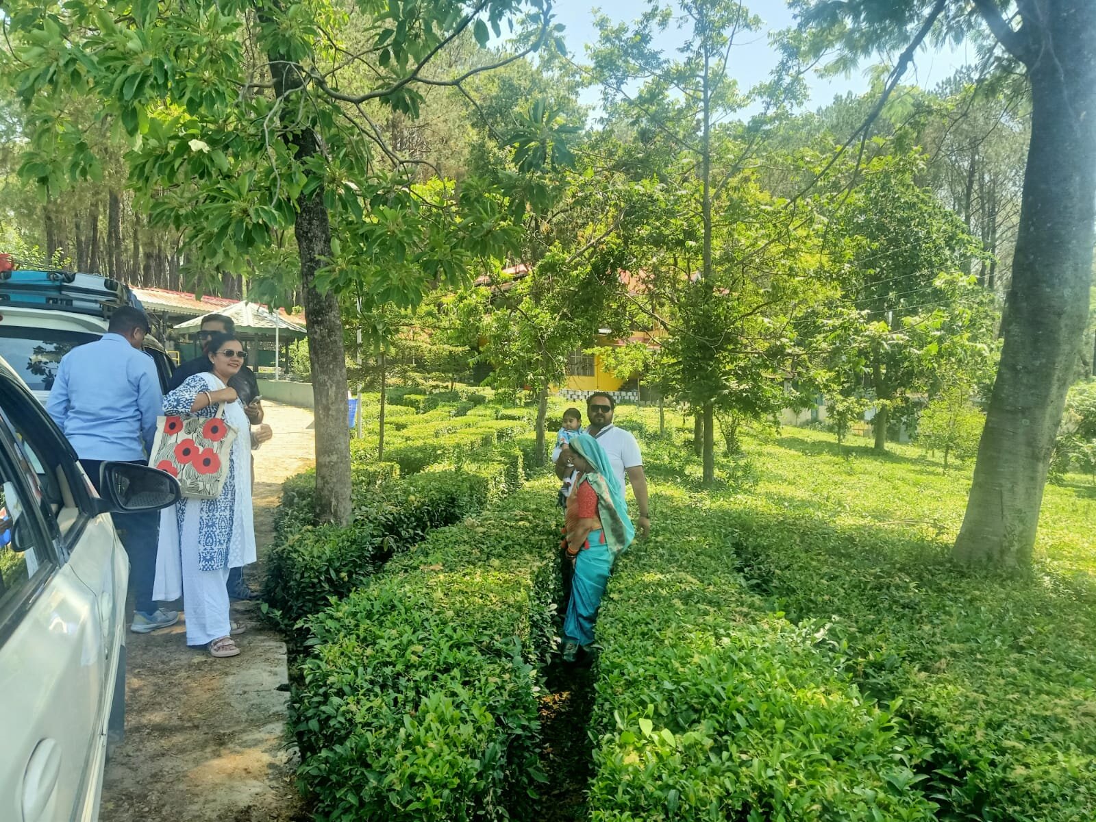 皇家绿芽酒店-旅行者