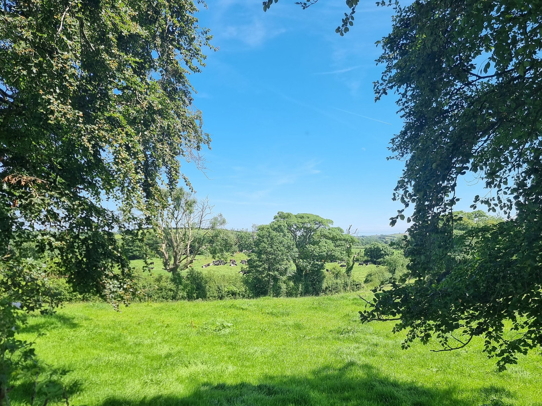 1798 Saintfield Walking Tour-Saintfield必去景点