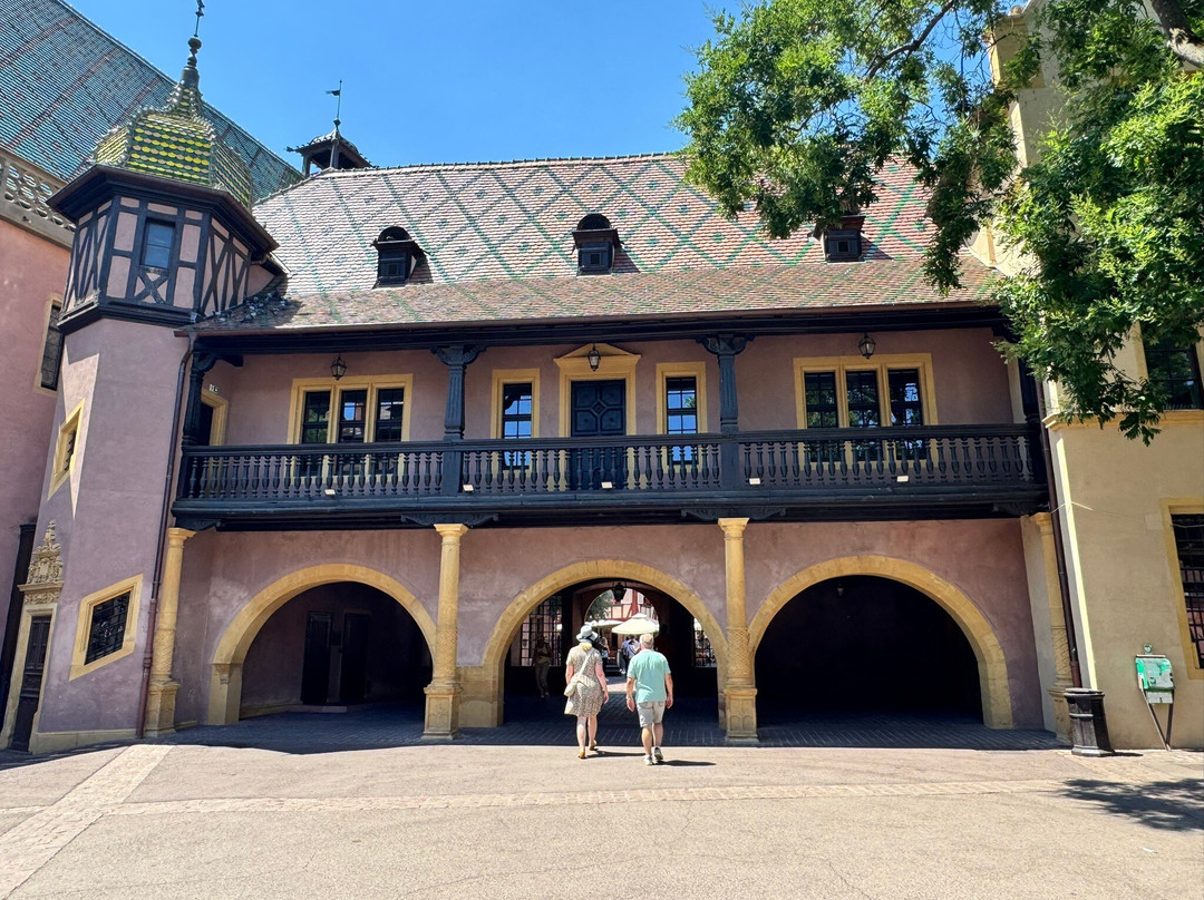 Koifhus (Old Custom House)-科尔马必去景点