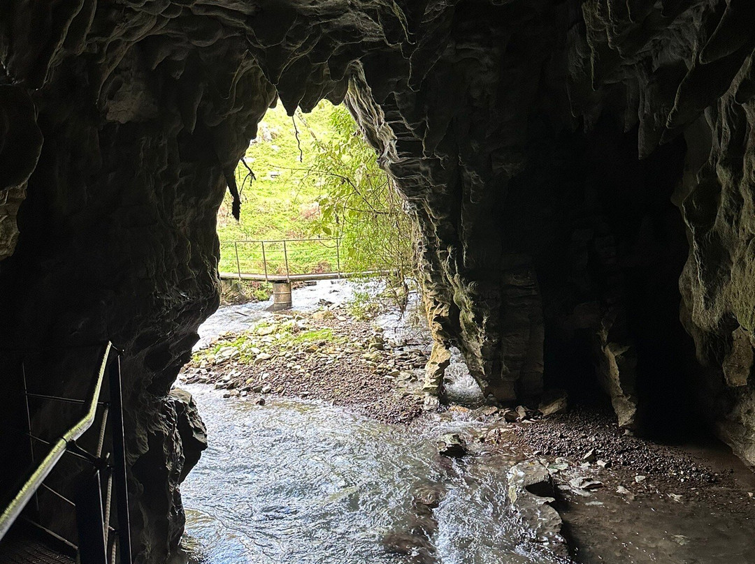 梦幻萤火虫洞之旅-蒂库伊蒂必去景点