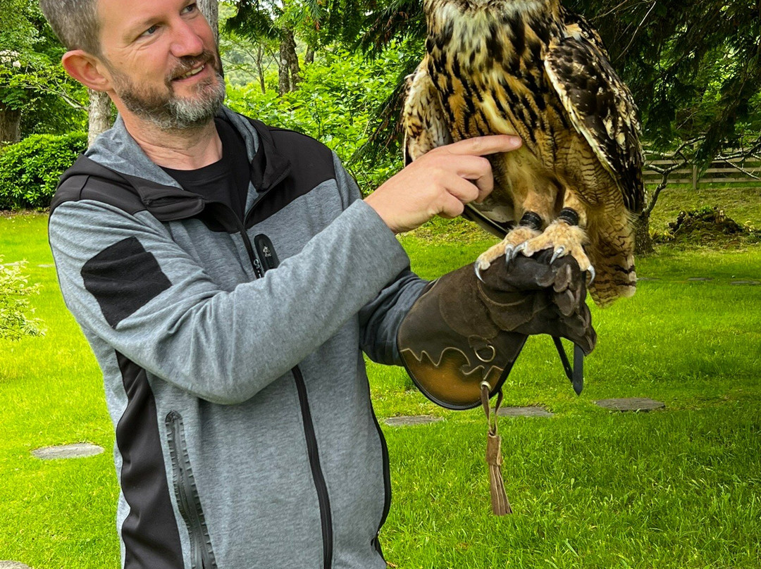 Shieldaig Falconry-盖尔洛赫必去景点