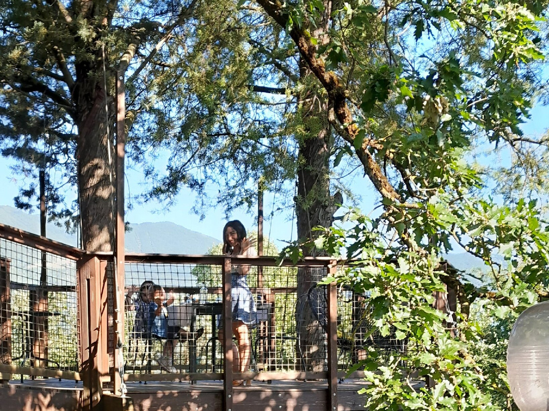 B&B Colle di Terria Country House主图