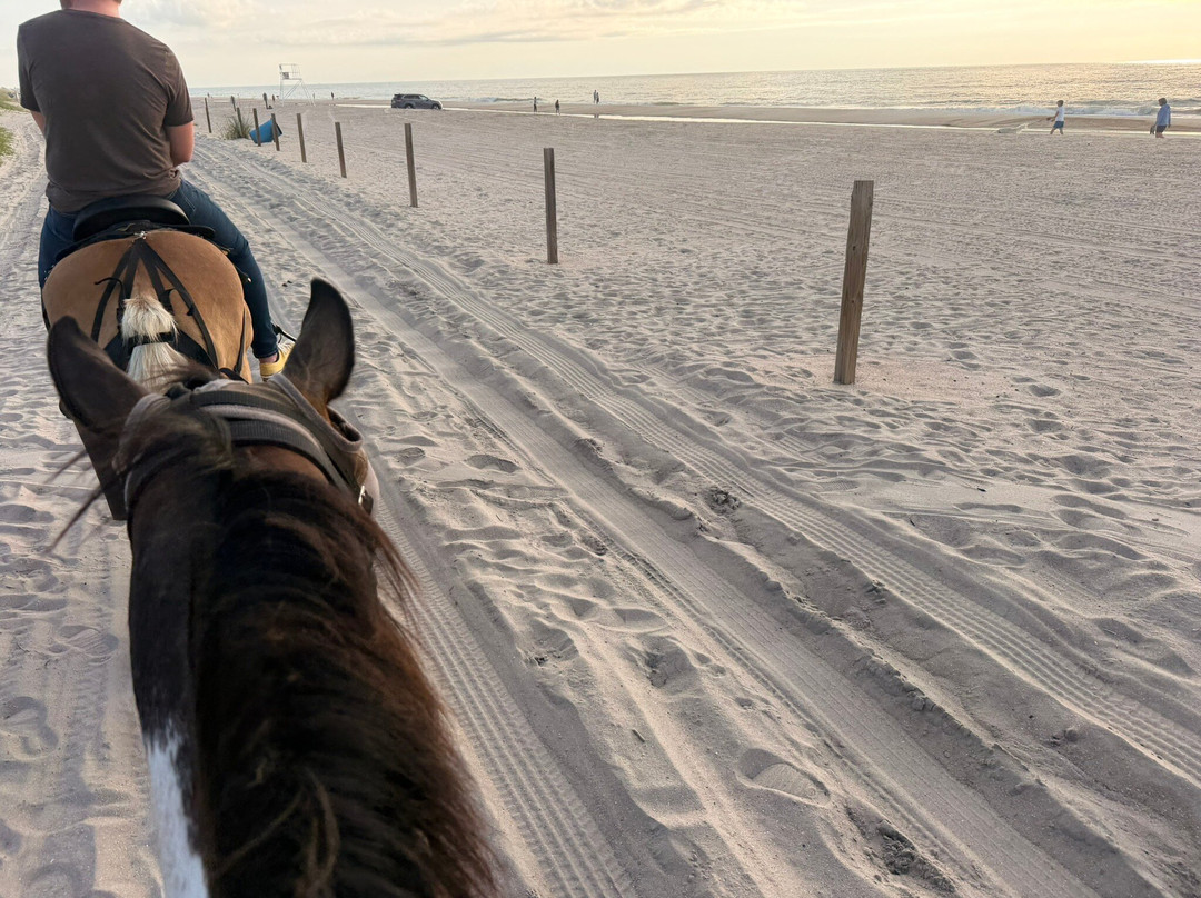 Amelia Island Horseback Riding-费尔南迪纳岛必去景点