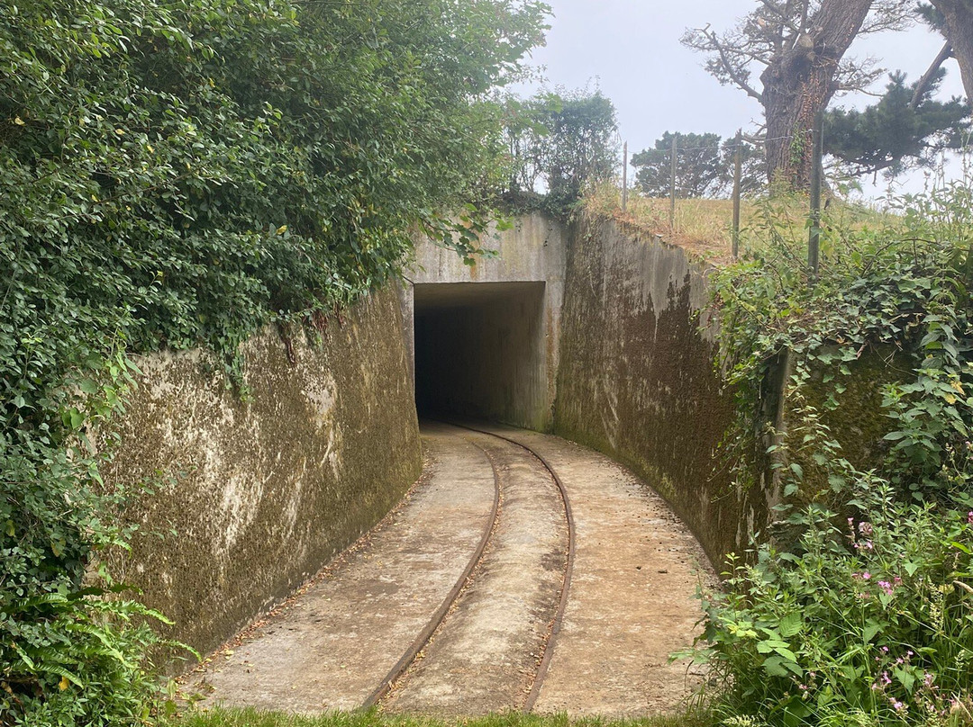 Tours Of Guernsey-St Peter Port必去景点