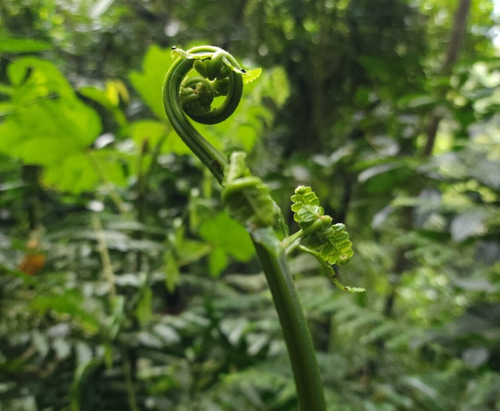 迪威那之家生态郊外小屋主图