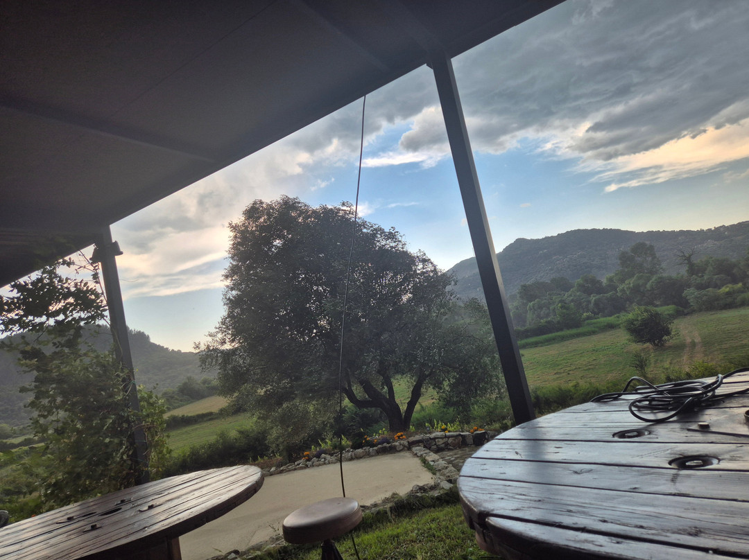 Zervas Winery-Igoumenitsa必去景点