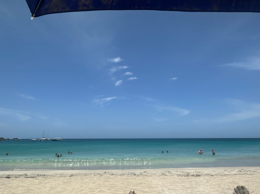 Divi小湾海洋主图