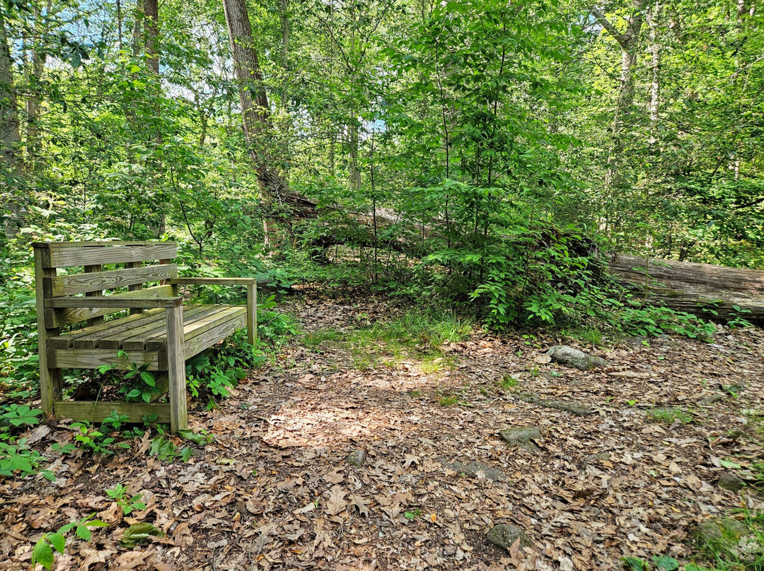 Honey Hollow Nature Center