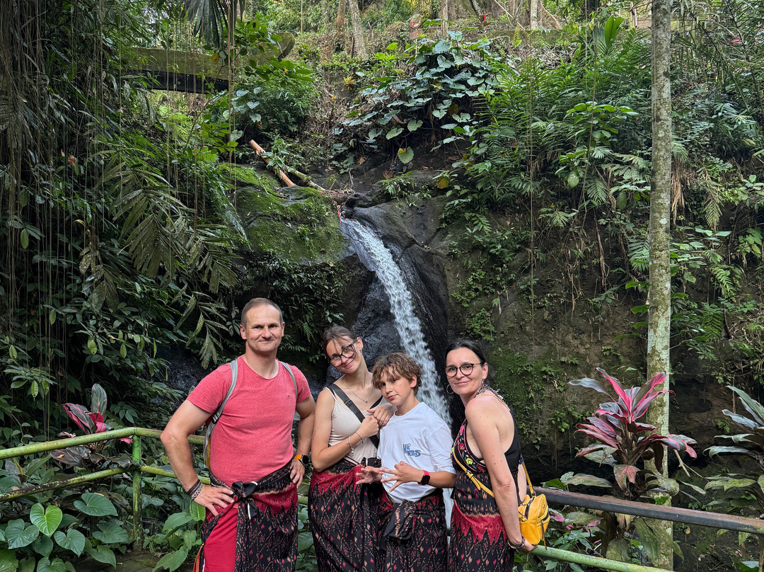 Best Ubud Driver-乌布必去景点