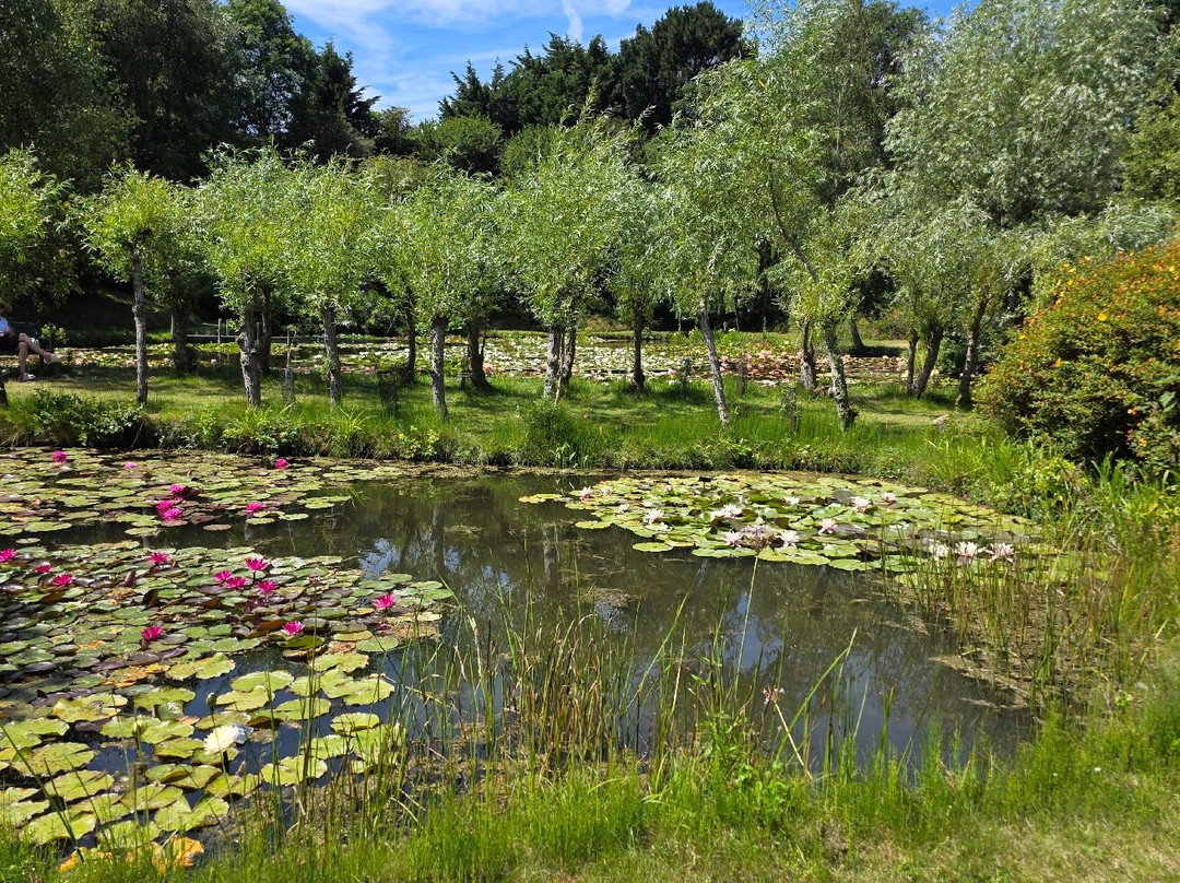 Bennetts Water Gardens-Chickerell必去景点