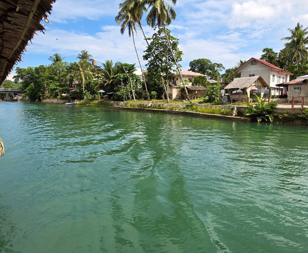 Loboc River Cruise-洛博克必去景点