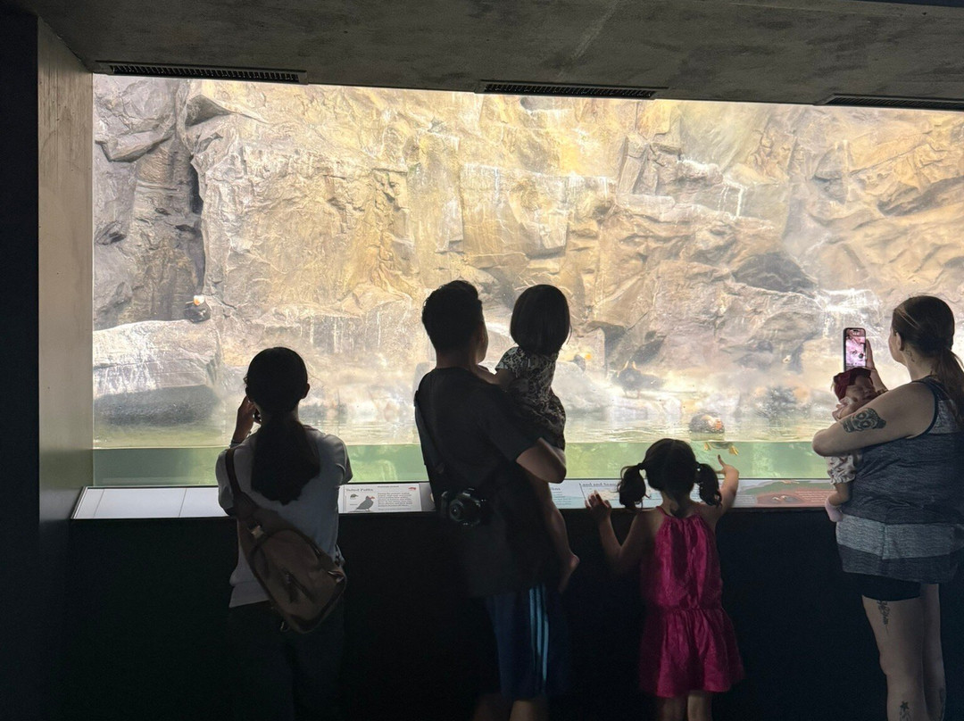 Bronx Zoo-布朗克斯必去景点