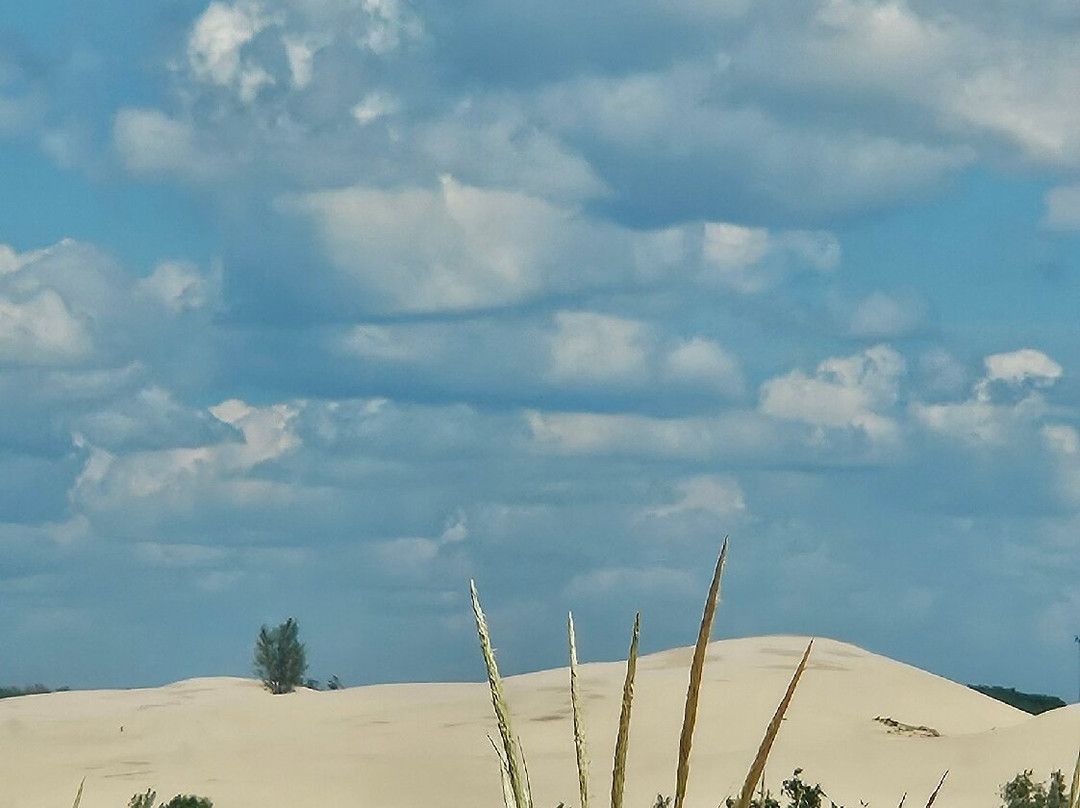 Mac Wood's Dune Rides-Mears必去景点