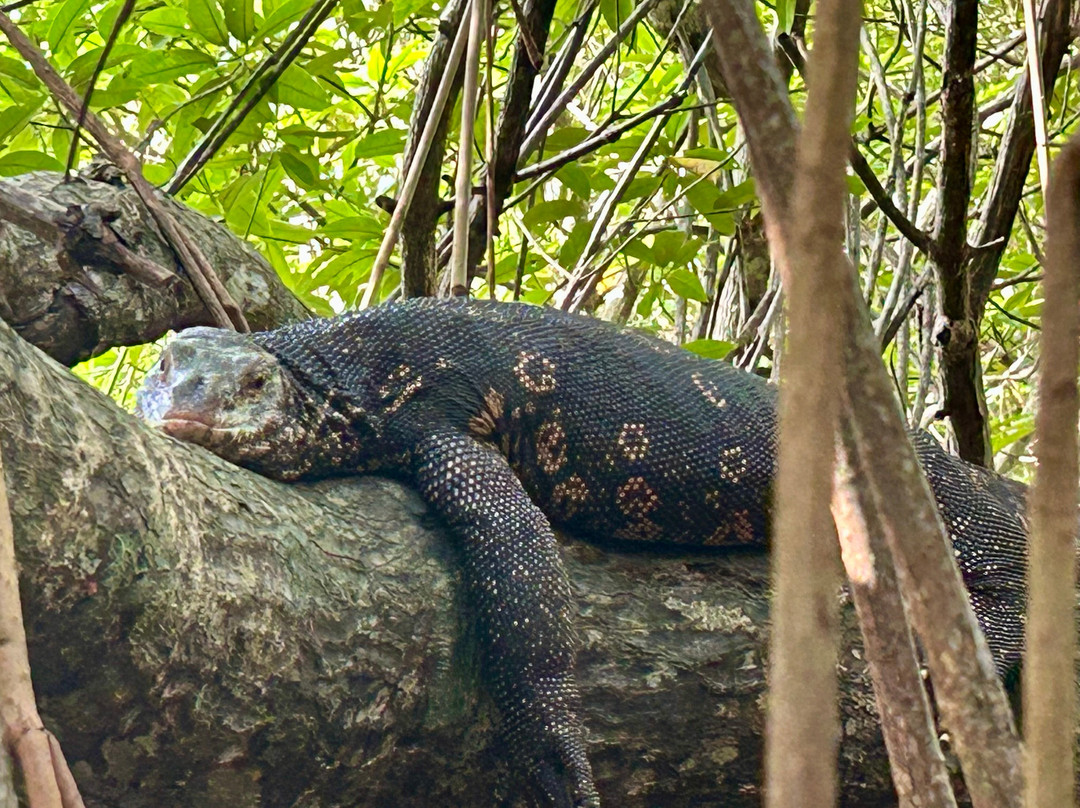 Charli Tours sri lanka-亚洪加拉必去景点