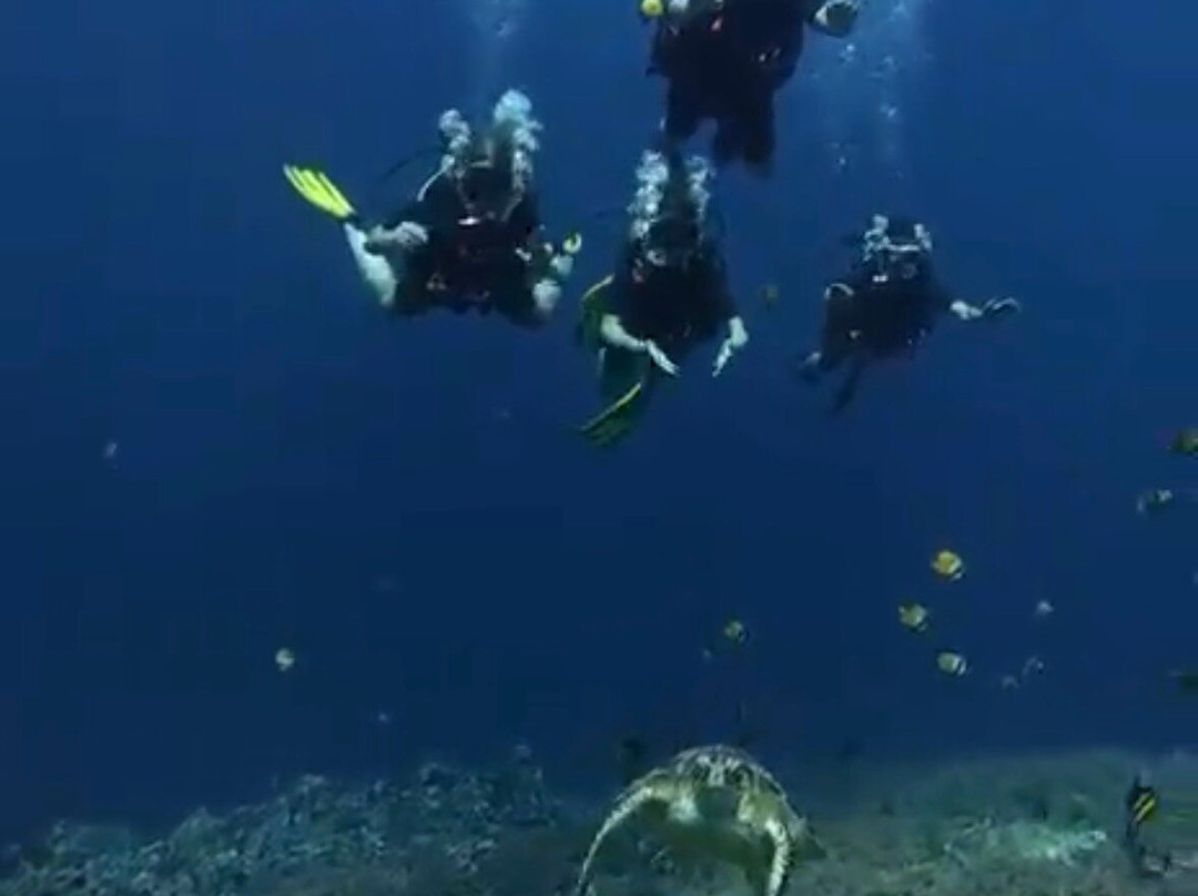 Dpm Diving Gili Air-Gili Air必去景点