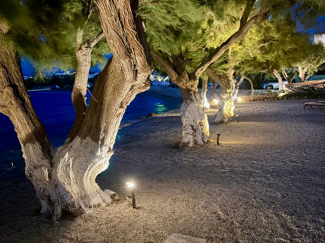 Kalypso Hotel Villas & Apartments主图