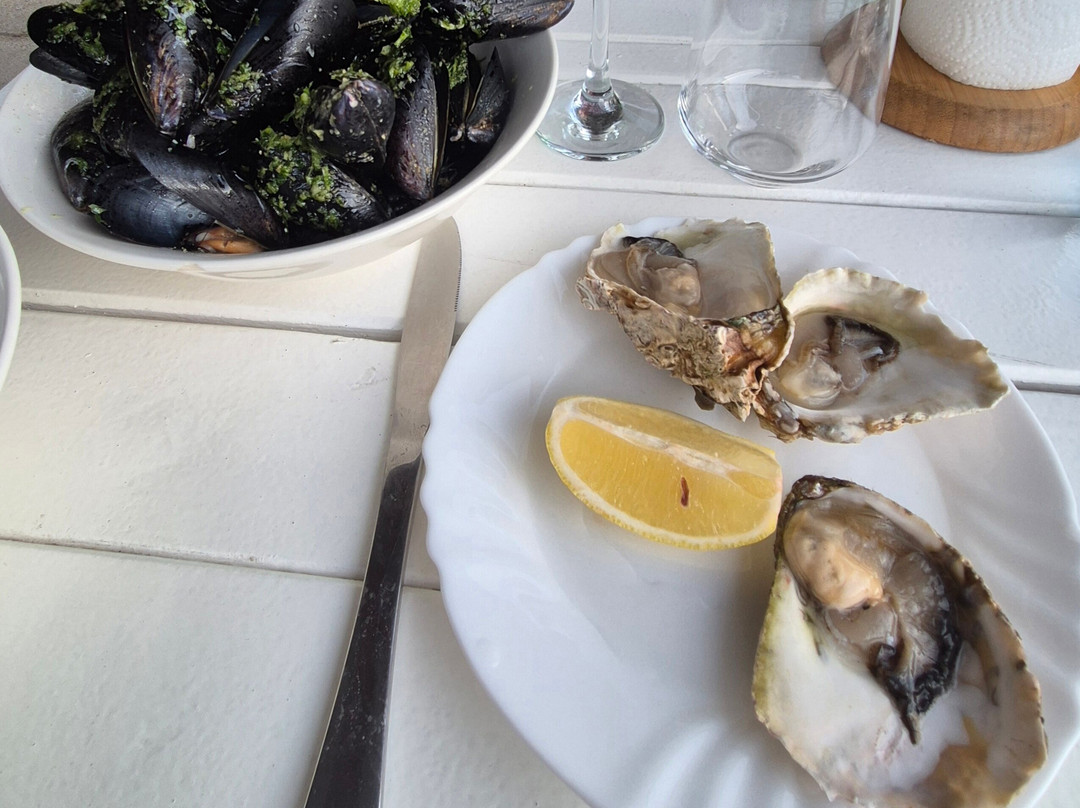Mussel And Oyster Farm-科托尔必去景点