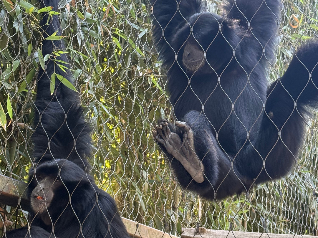 Parc Animalier Des Pyrénées-Ayzac-Ost必去景点