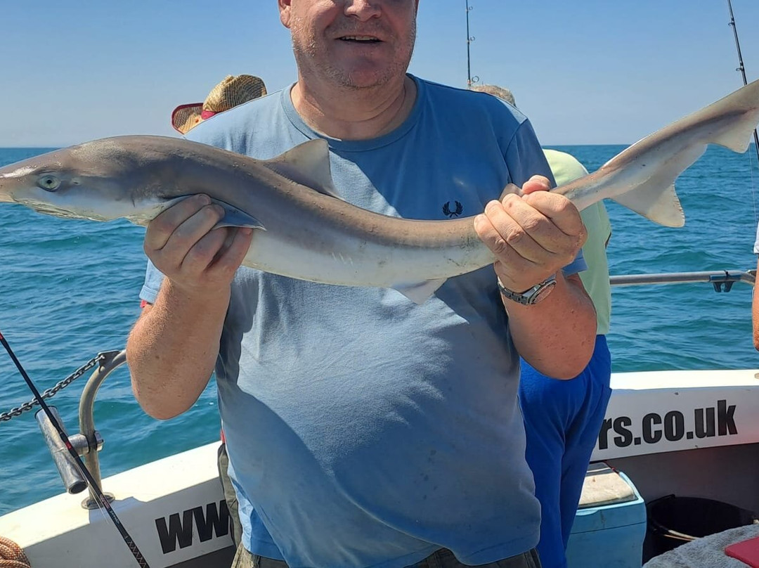 Sussex Sea Charters-West Itchenor必去景点
