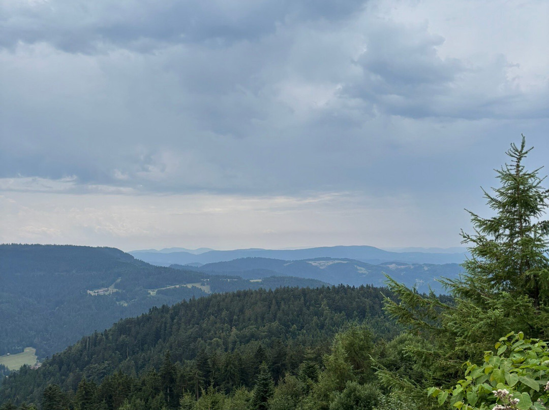 Schwarzwald Hochstrasse-拜尔斯布龙必去景点