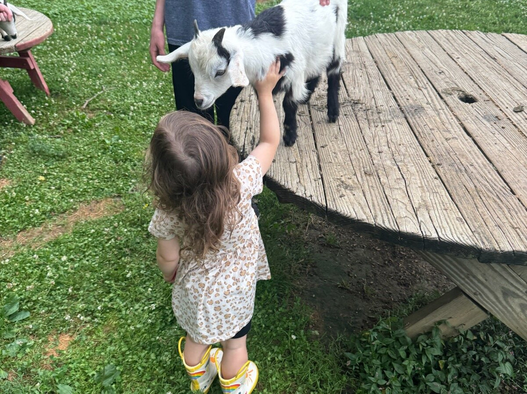 Rocky Acre Farm B&B主图