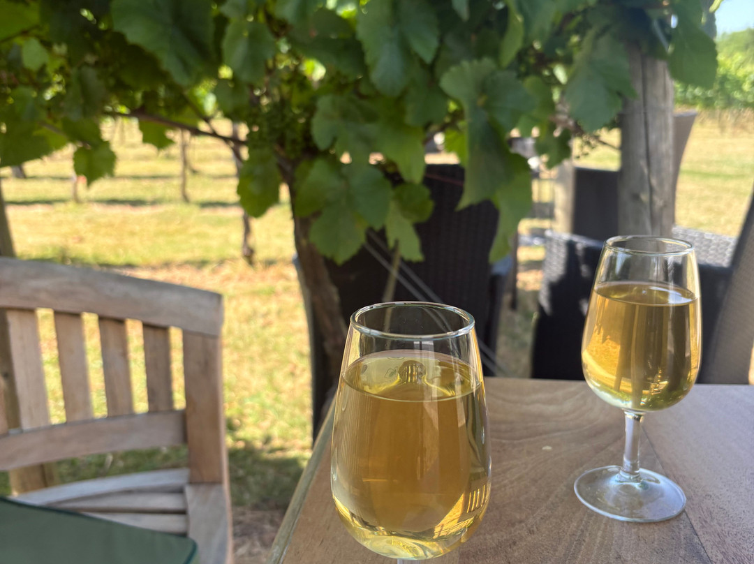 Yorkshire Heart Vineyard-约克必去景点