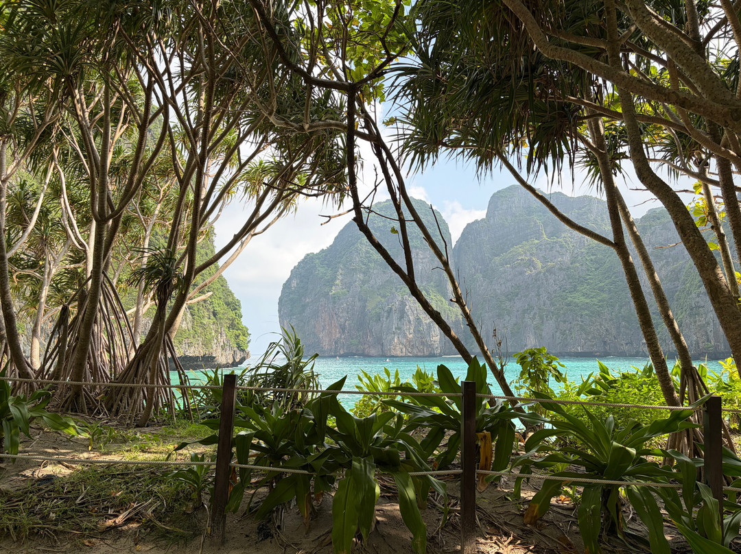 Sea Eagle Tour-甲米必去景点