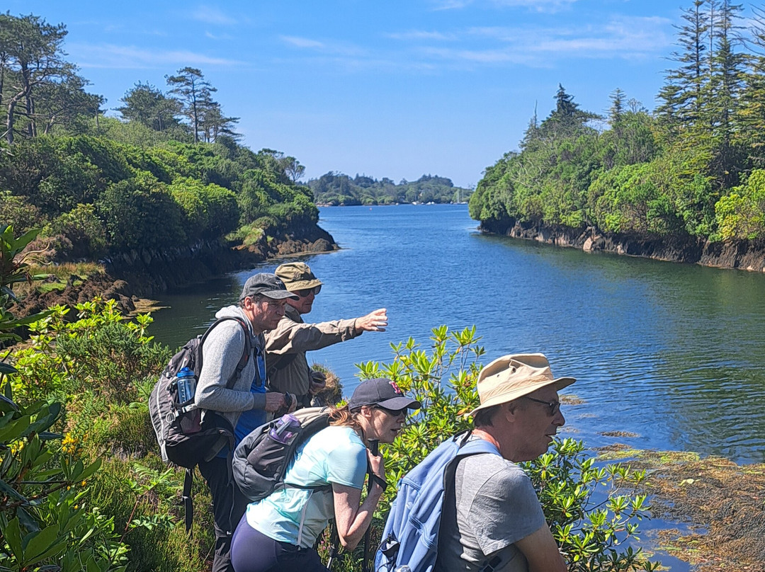 Álaind Walking Holidays-Sneem必去景点
