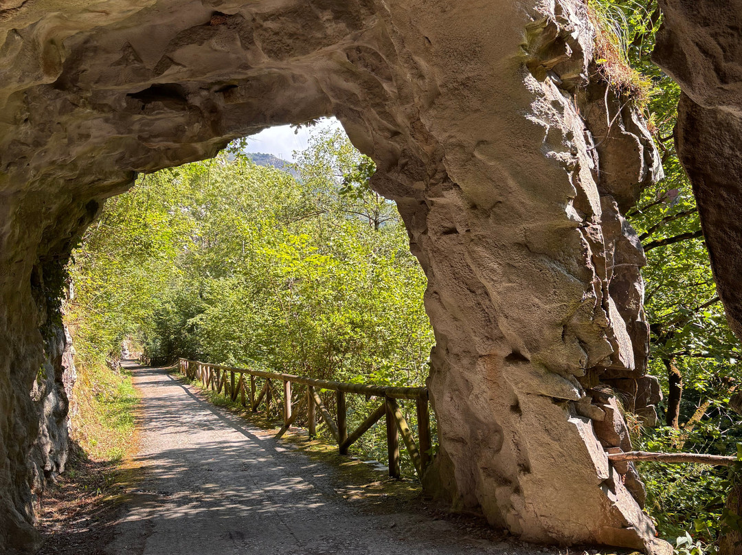 Senda Del Oso Experience - Teverastur-Teverga Municipality必去景点