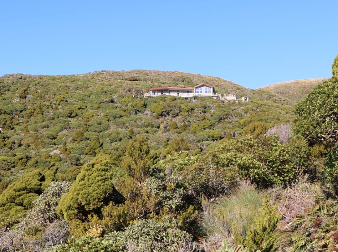 Pouakai Circuit-Egmont National Park必去景点