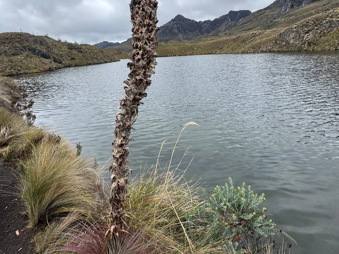 Laguna La Toreadora-昆卡必去景点