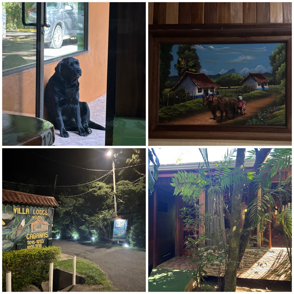 蒙特贝尔德别墅旅馆-旅行者