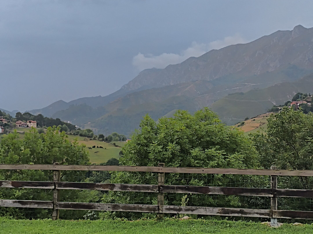 Aula de la Miel de los Picos de Europa-Alles必去景点