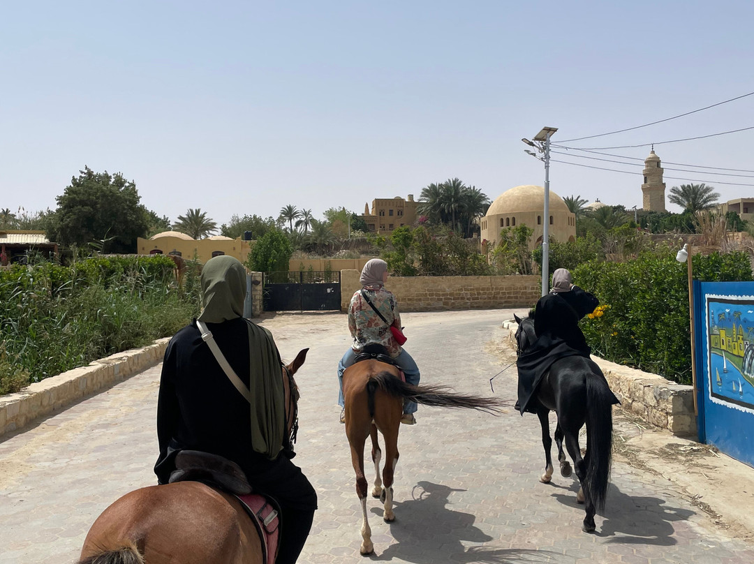 Horse Trips Egypt-Tunis必去景点