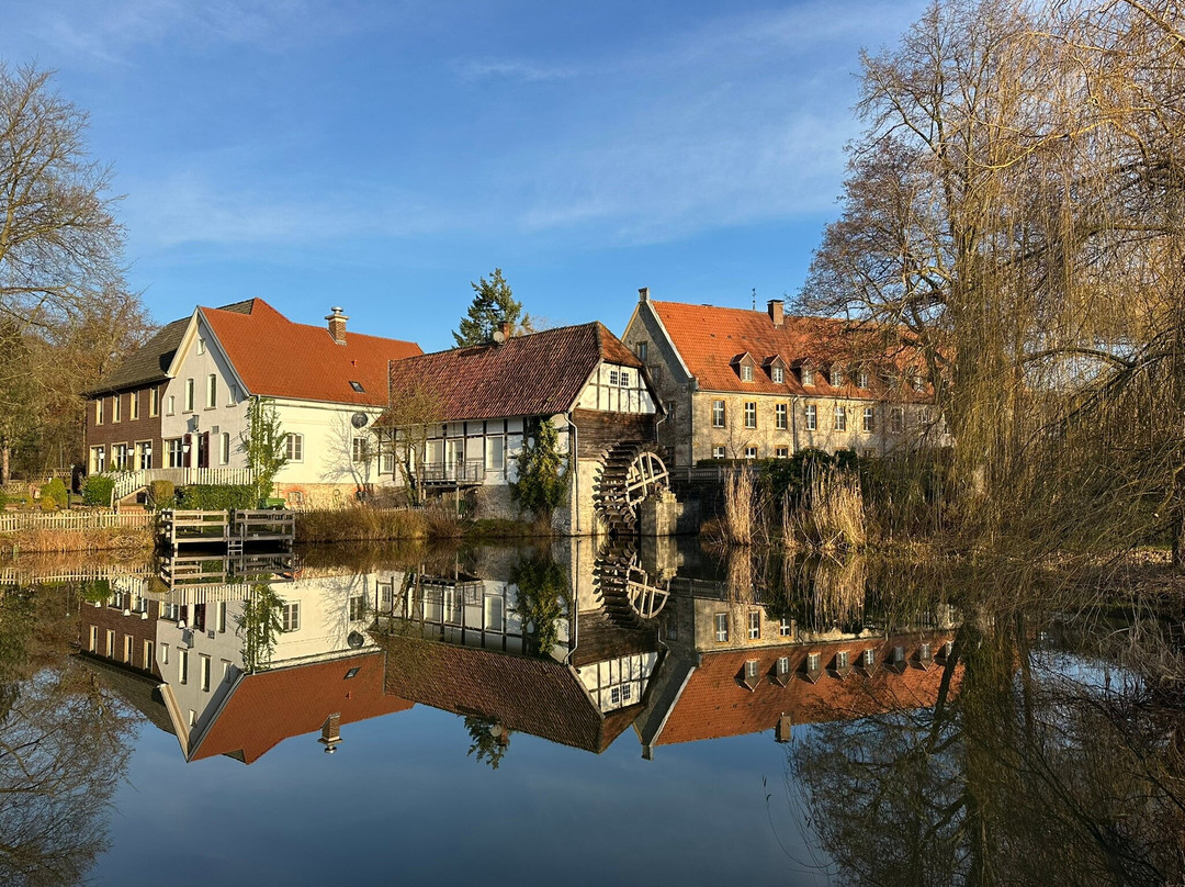 Zum kuhlen Grunde